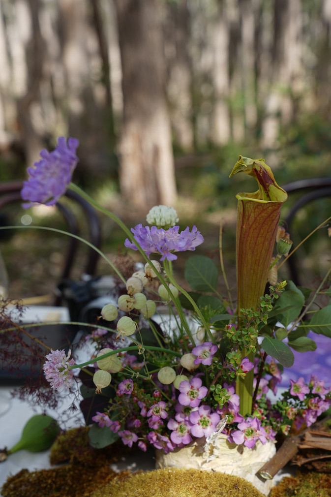 Nature’s Table 2025 Pair'd Festival