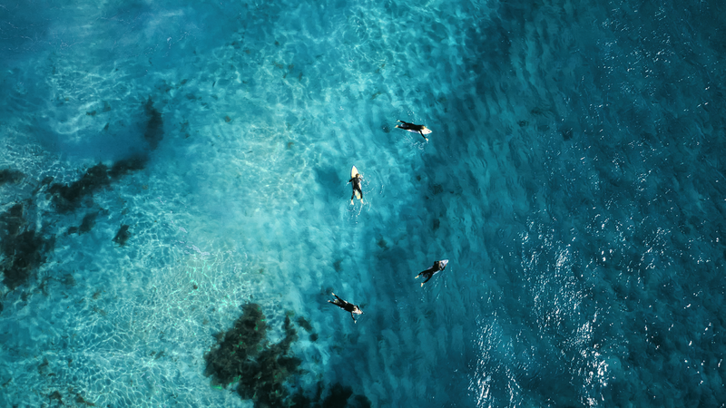 Celinparadise - Surfers WA.png