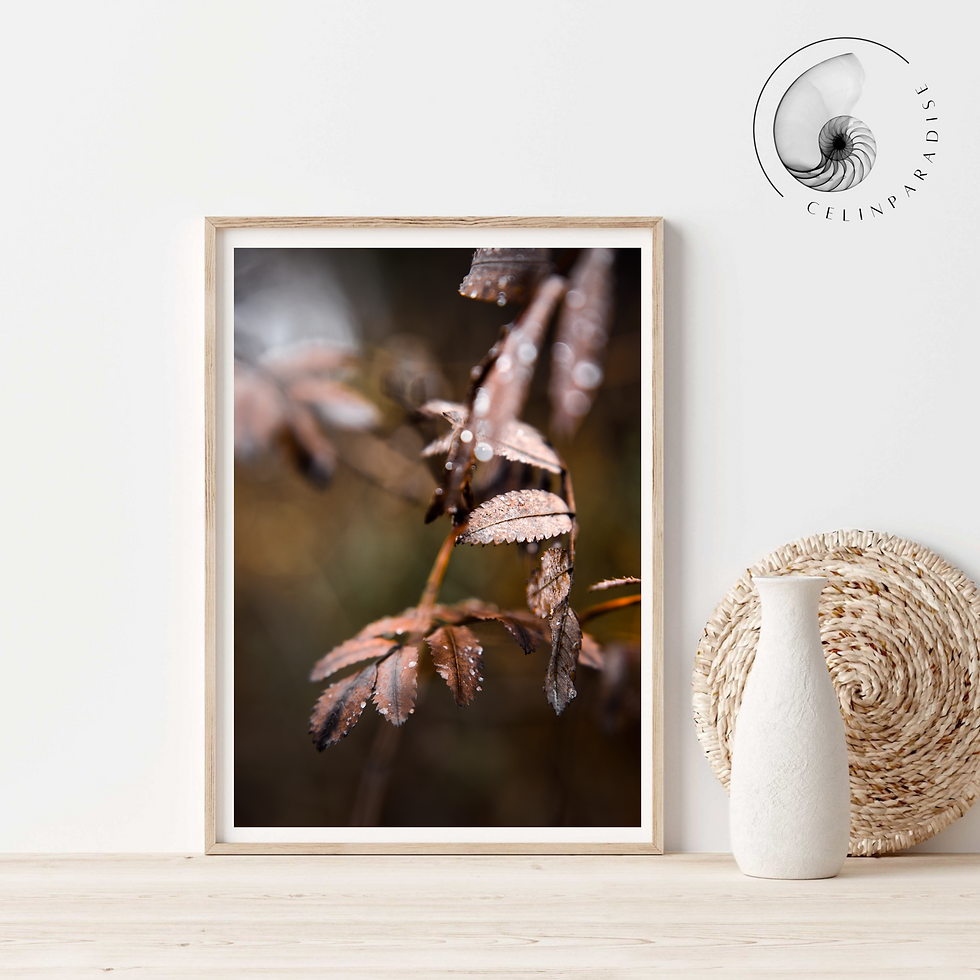 Miniature : Autumn Leaf - Canada