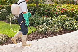 Pest Control