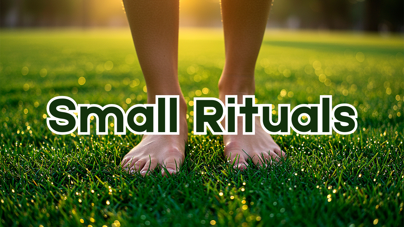 Shorter Rituals Small Rituals that Save You