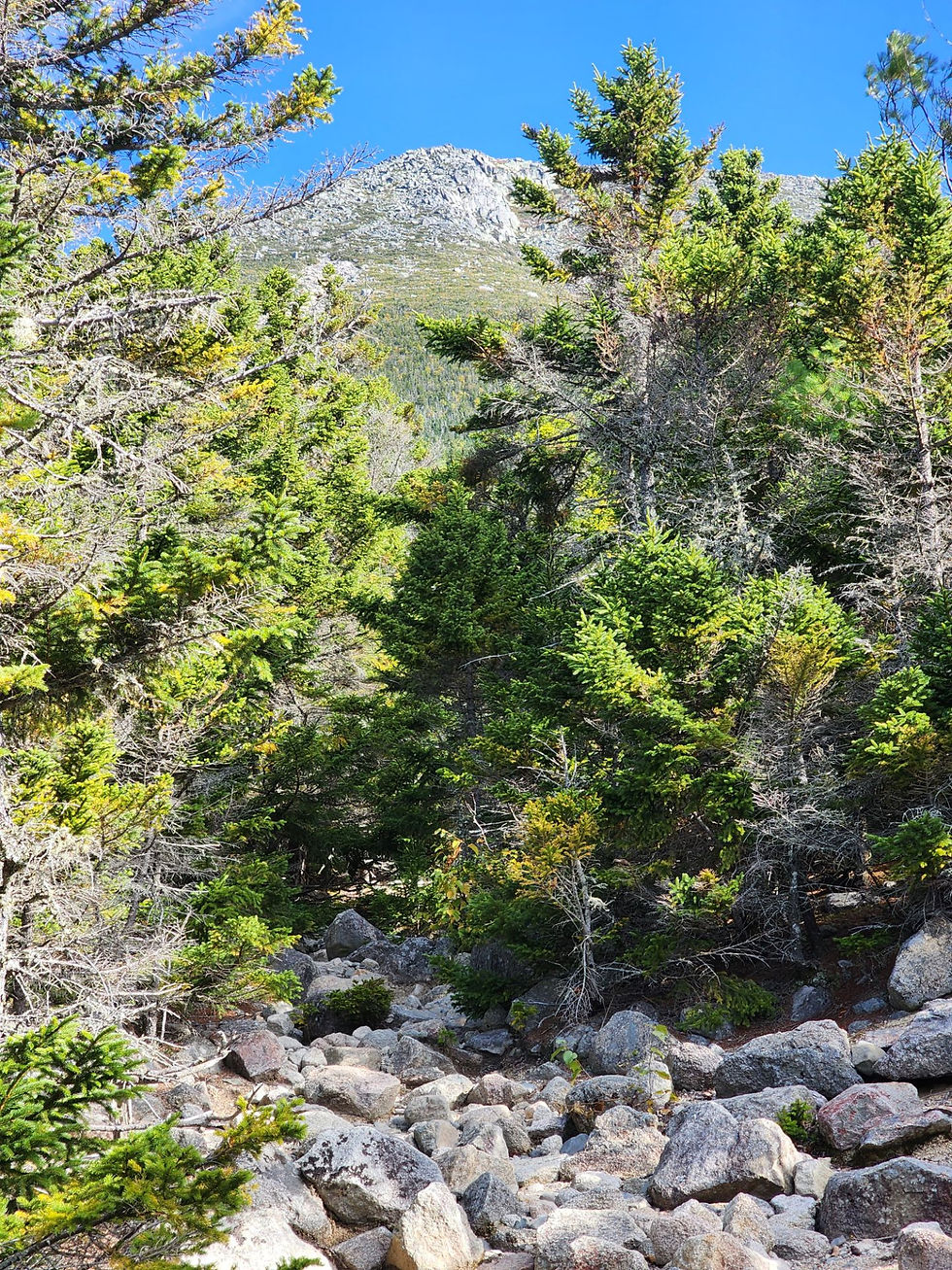 Abol Trail to the highest peak in Maine