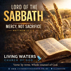 Services 11 April - this Saturday