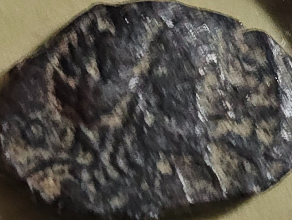 Thumbnail: Egypt - Ptolemy VI Philometor