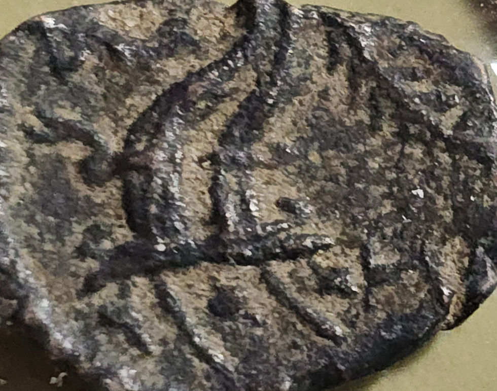 Thumbnail: Egypt - Ptolemy VI Philometor