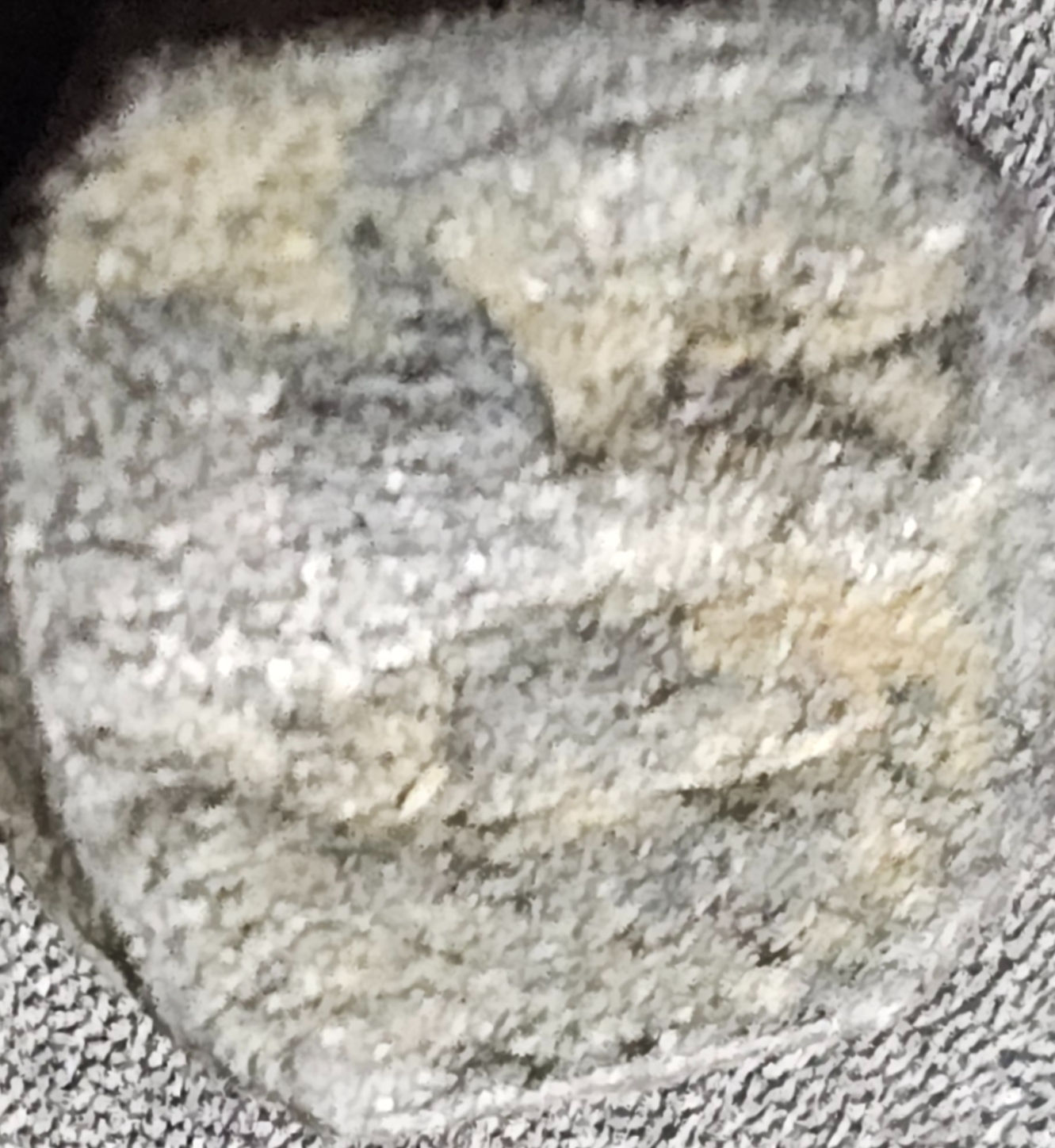 Nabataean (Petra) -  Aretas IV Philopatris