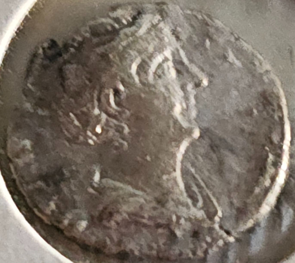 Roman Era - Faustina The Elder