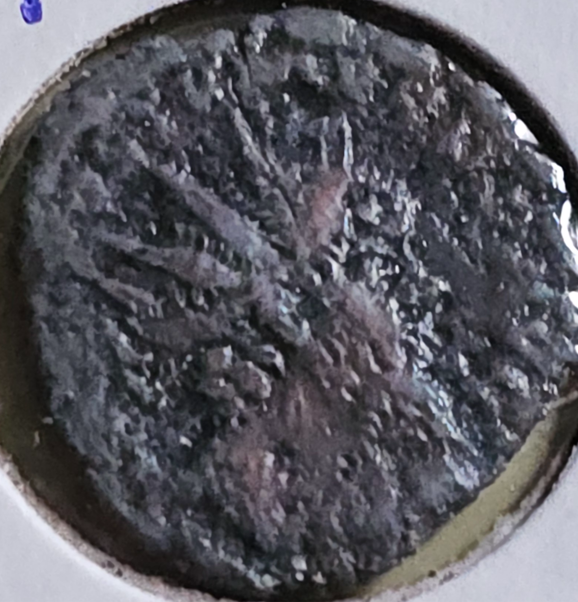 Roman Era - Caracalla