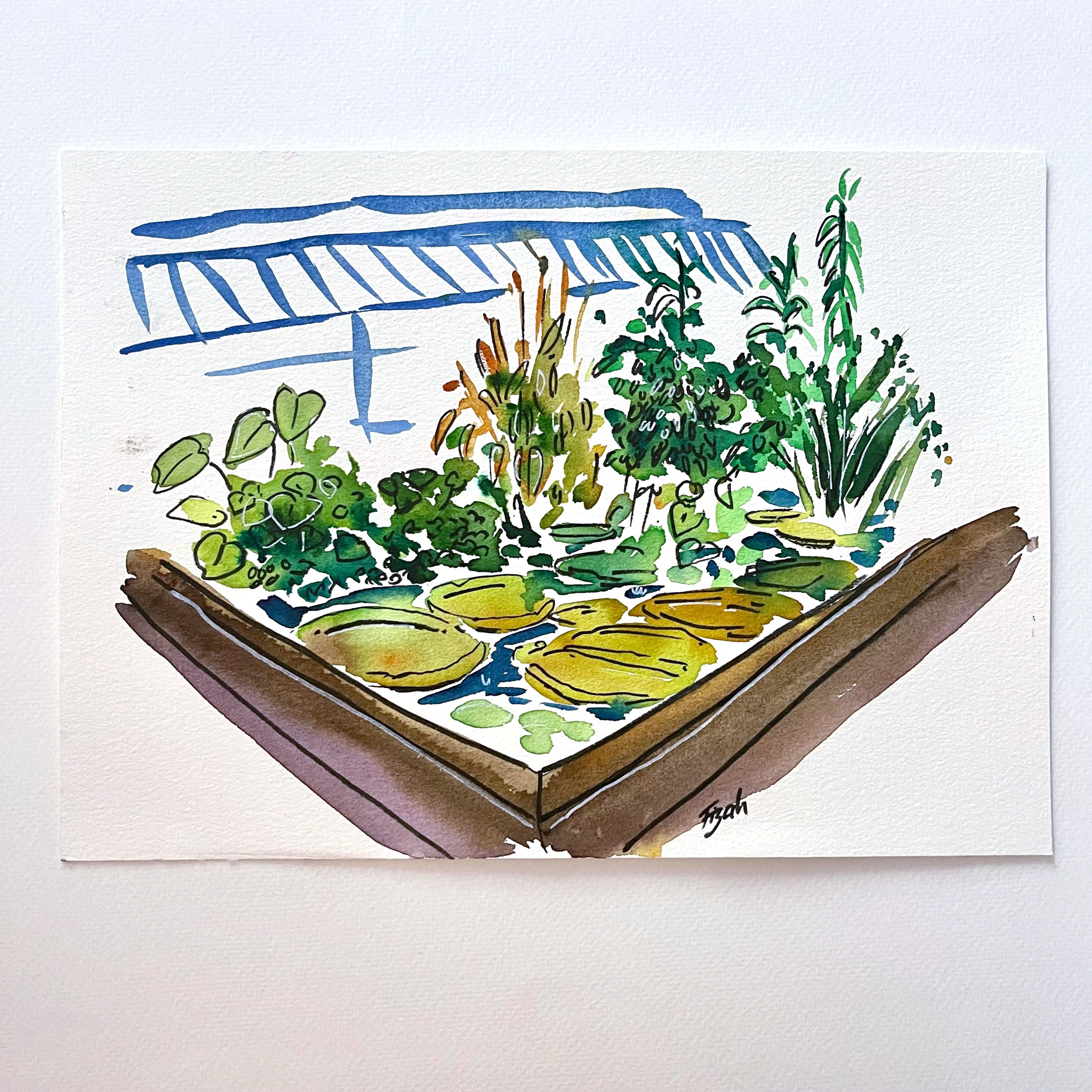 Botanischer Garten