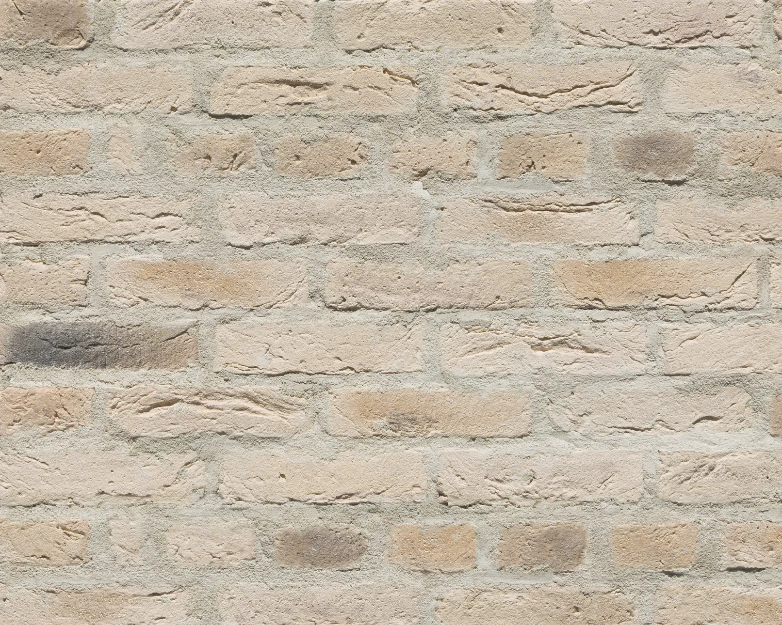 レンガ・ブリックタイル Netherland ネザーランド (NL) ｜ CAN'BRICK