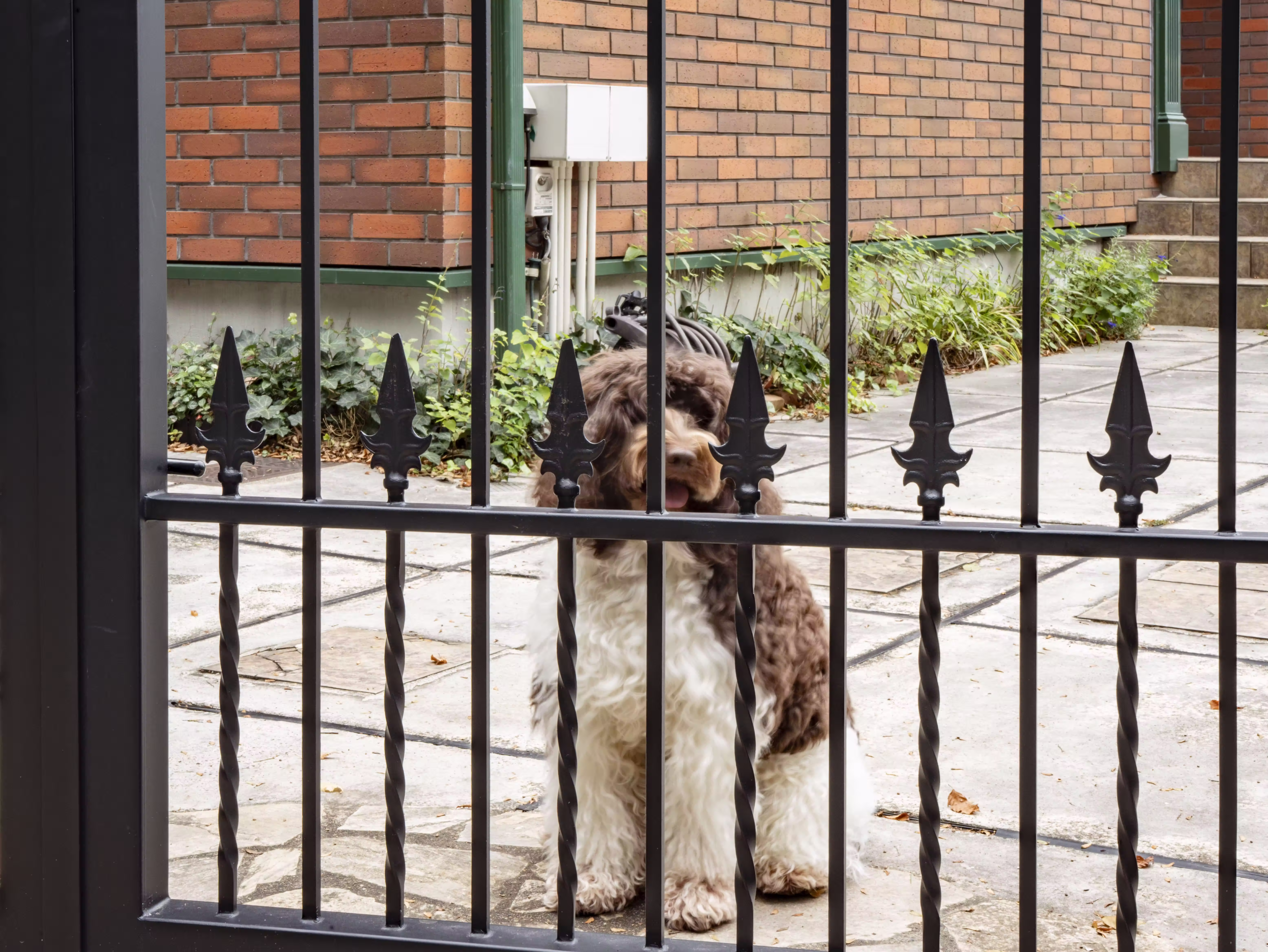 オーダーメイド(カスタム)門扉施工事例
