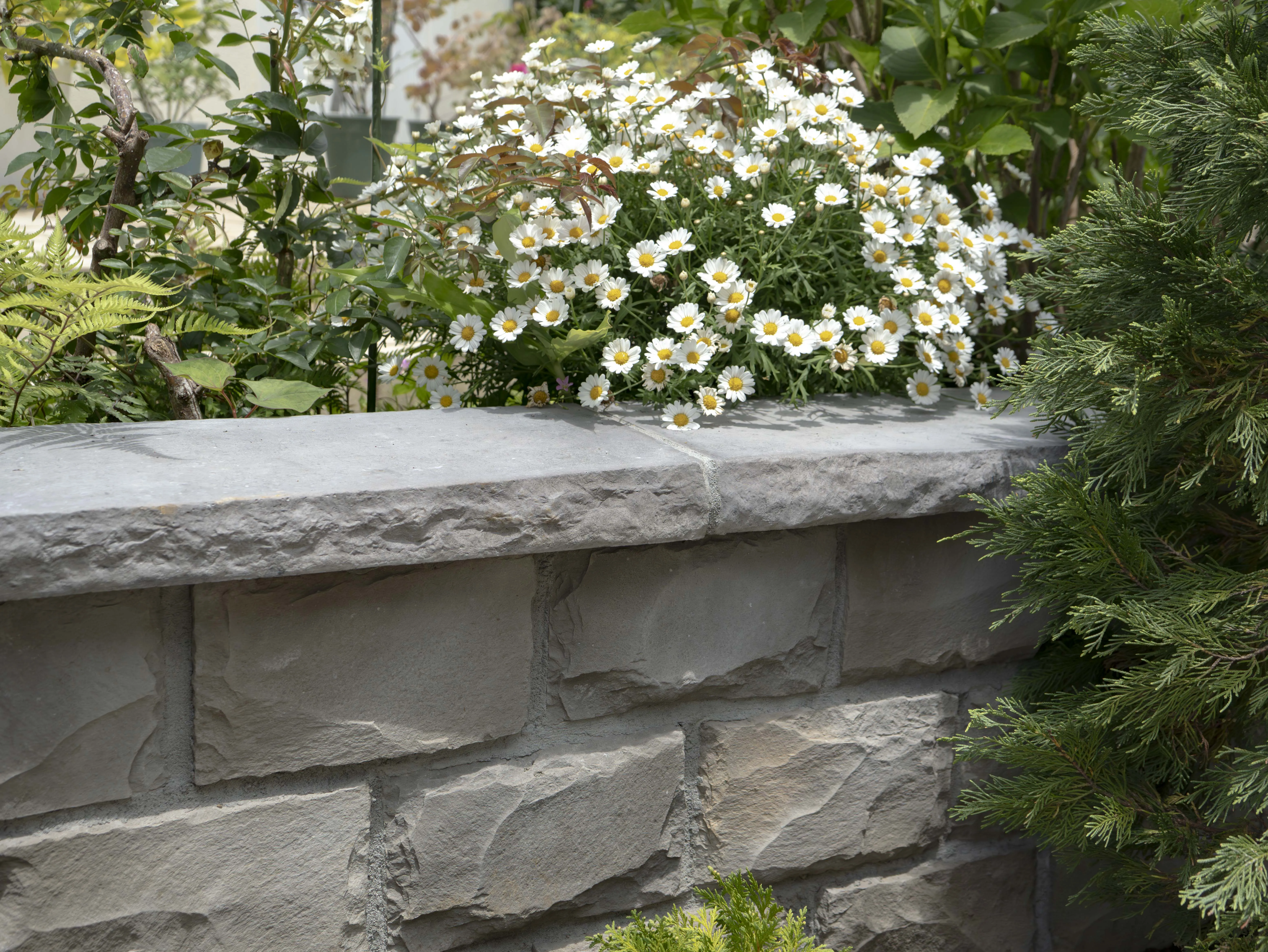 笠木を使用した事例 雨垂れ防止