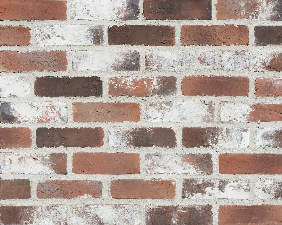 ブリックタイル CAN'BRICK ボストン  BOS-1 