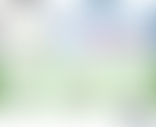 תיאור מבנה המחקר 1