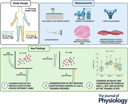 תיאור מבנה המחקר 1