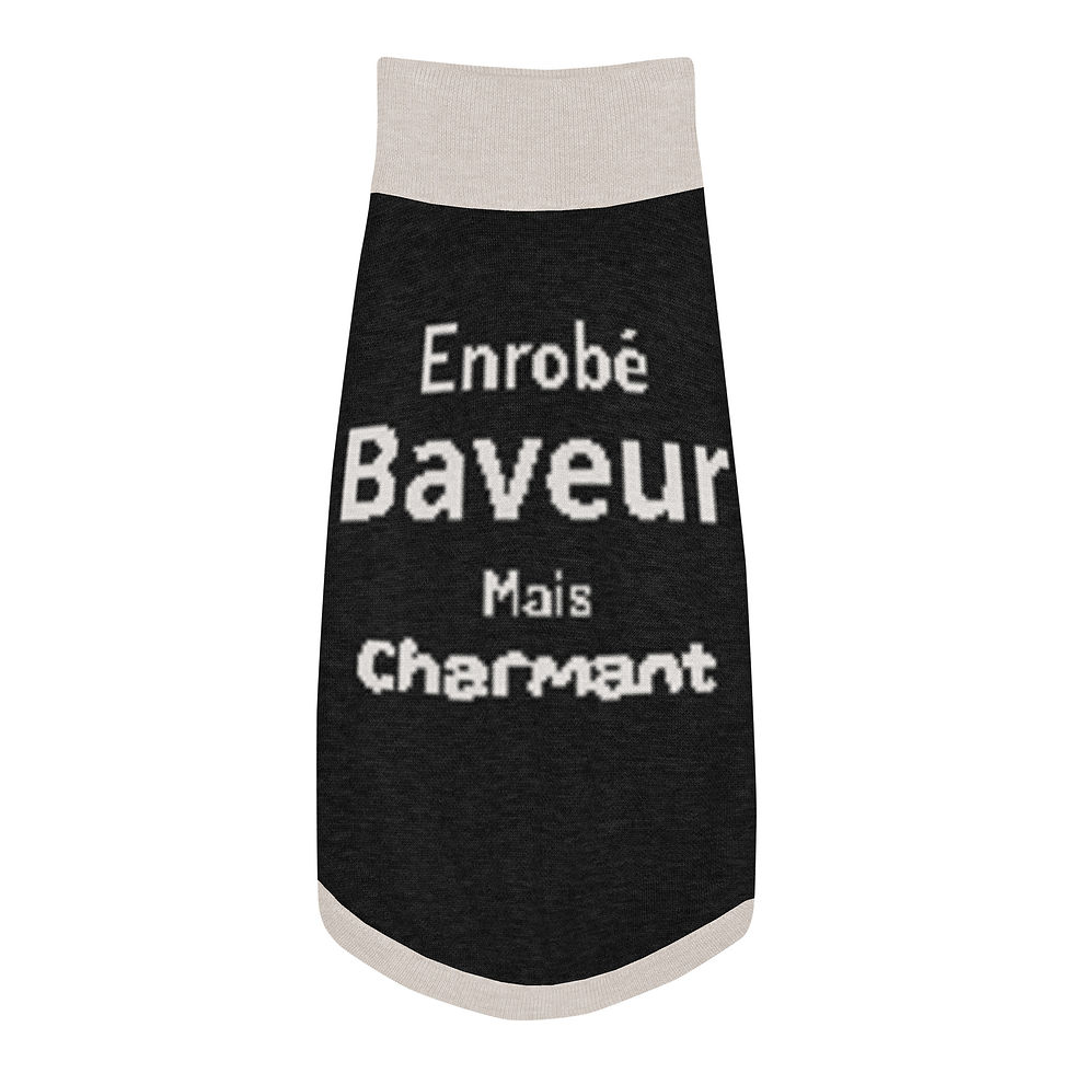 Pull dog "Humour" - Boutique insolite 100% - Roka Concepts - Marque Roka LaPoulpe - Yverdon-les-Bains - Vaud - Suisse