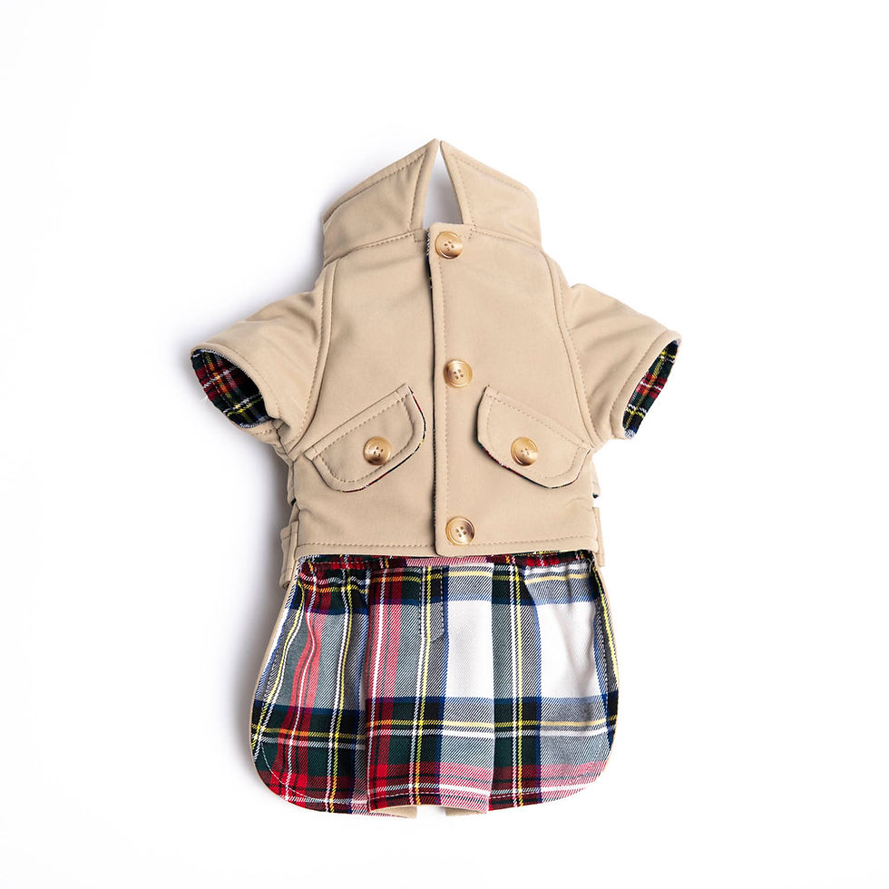 Manteau Chien  - Boutique insolite 100% - Roka Concepts - Marque Roka LaPoulpe - Yverdon-les-Bains - Vaud - Suisse