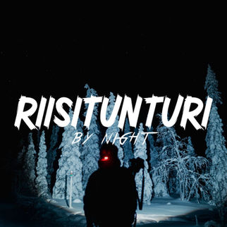 Guided night hike in Lapland forest