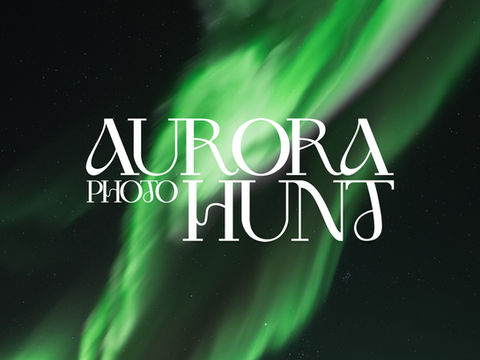 Green aurora dancing in Arctic sky during winter night