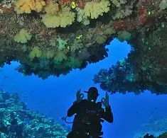 Dolphin-Bay-Divers-Retreat-1.webp