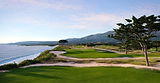 Sandpiper City Council - For City - Updated (1)_Page_01_edited.jpg