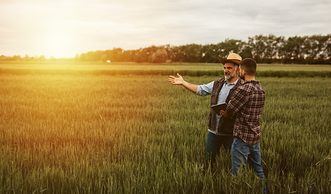 iStock-1357648190.jpg