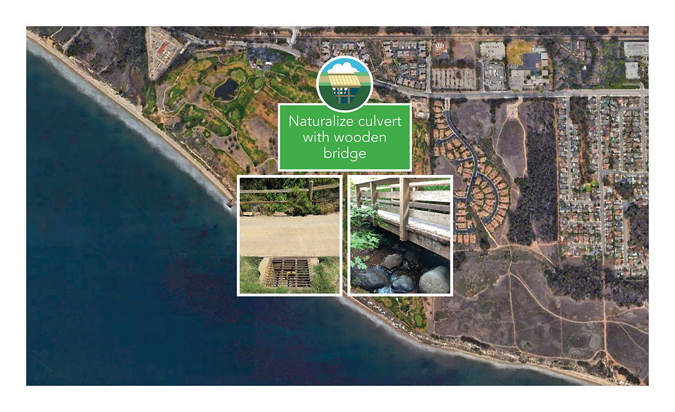 Sand Piper Web Maps-v311.jpg