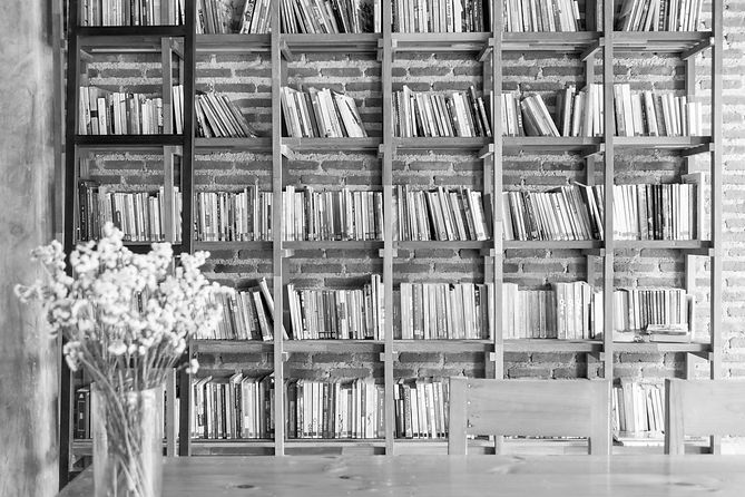 Library Bookshelves_edited.jpg