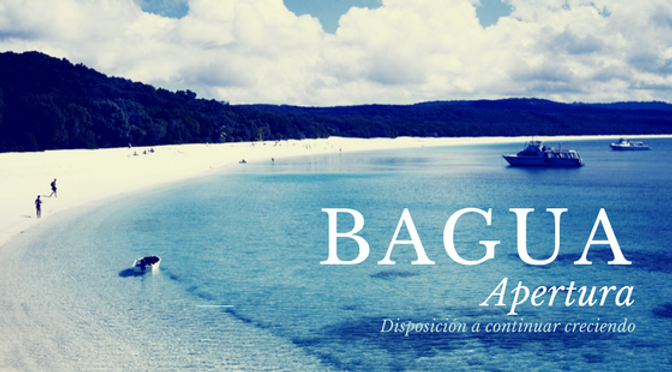 Bagua Banner.png