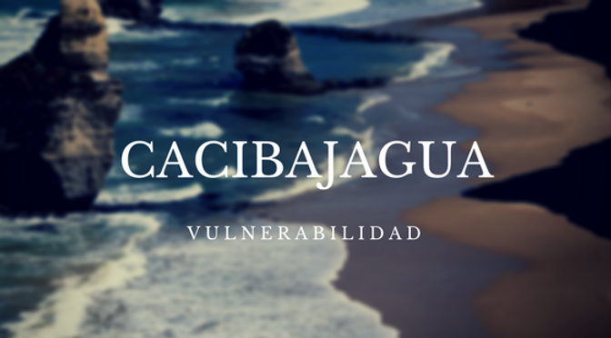 Cacibajagua Banner.png