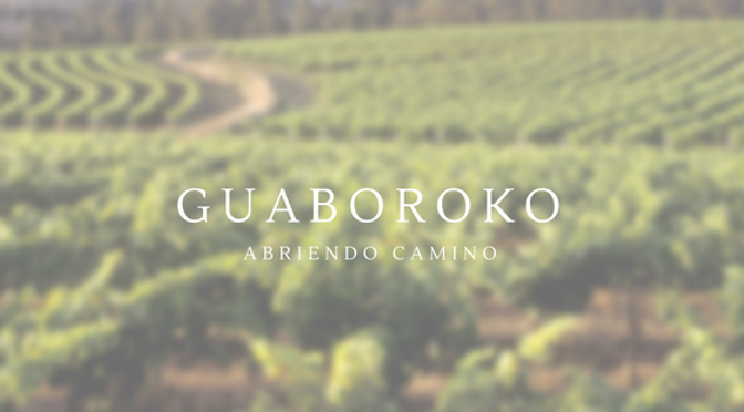 GUABOROKO Banner.png