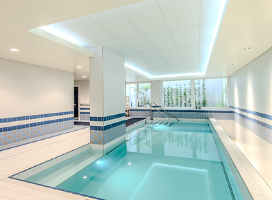 Veyrier pool - photo 2.png