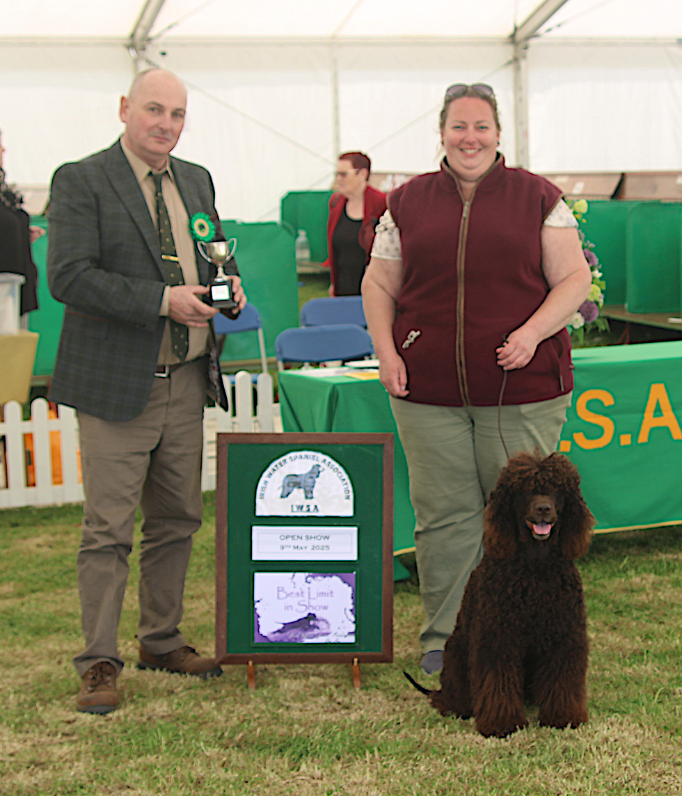 Best Limit - May Open Show 2025