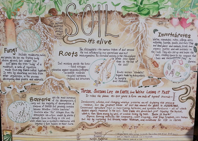 soils poster.jpg