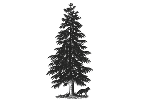 ChatGPT Image 11. Sept. 2026, 11_36_16.png