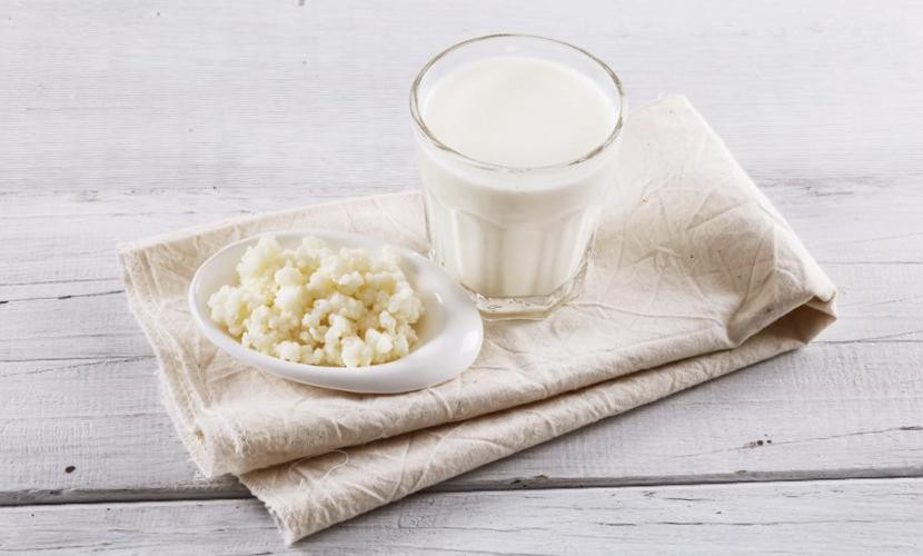 kefir, probiotiques, probiotics, nutrition, health, santé, Bruxelles, Belgique,