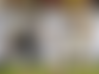 " São Paulo decepciona mais uma vez "