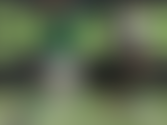 " Corinthians vence Palmeiras no Allianz Parque, no primeiro jogo da final do Paulistão "