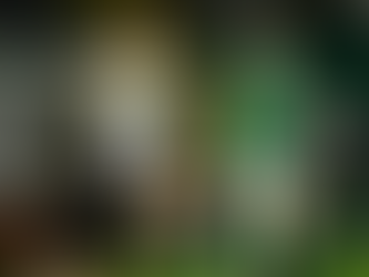 " Palmeiras perde a primeira no Paulistão"