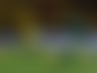 " Base salva o Palmeiras no Paulistão"