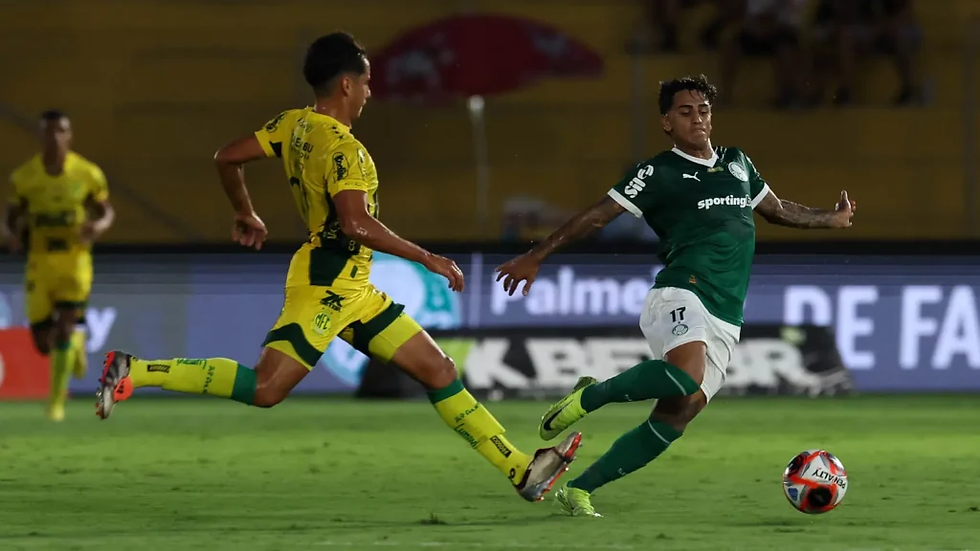 ( Foto Cesar Grecco / SE Palmeiras)