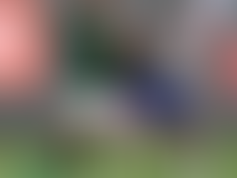 "Palmeiras empata com Fortaleza e vê Botafogo aumentar distância na liderança"