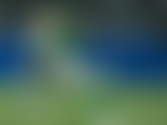 " Palmeiras empata com Universitário e garante vaga nas quartas da Libertadores "