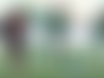 " Palmeiras perde para o Flamengo no Allianz Parque e vê vantagem diminuir no Brasileirão "