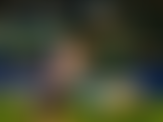 " Palmeiras é derrotado pelo Cerro Porteño por 1 a 0 no NU Bank Parque, perde invencibilidade como mandante na Libertadores e se complica no Grupo F "