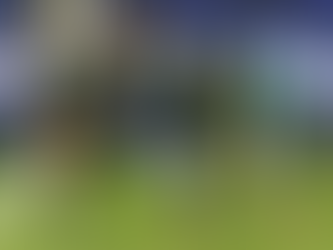 " Palmeiras vence Santos e dispara na liderança do Brasileirão com show de Vitor Roque "