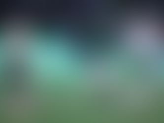 "Maurício brilha com dois gols na vitória do Palmeiras sobre a Portuguesa na estreia do Paulistão"