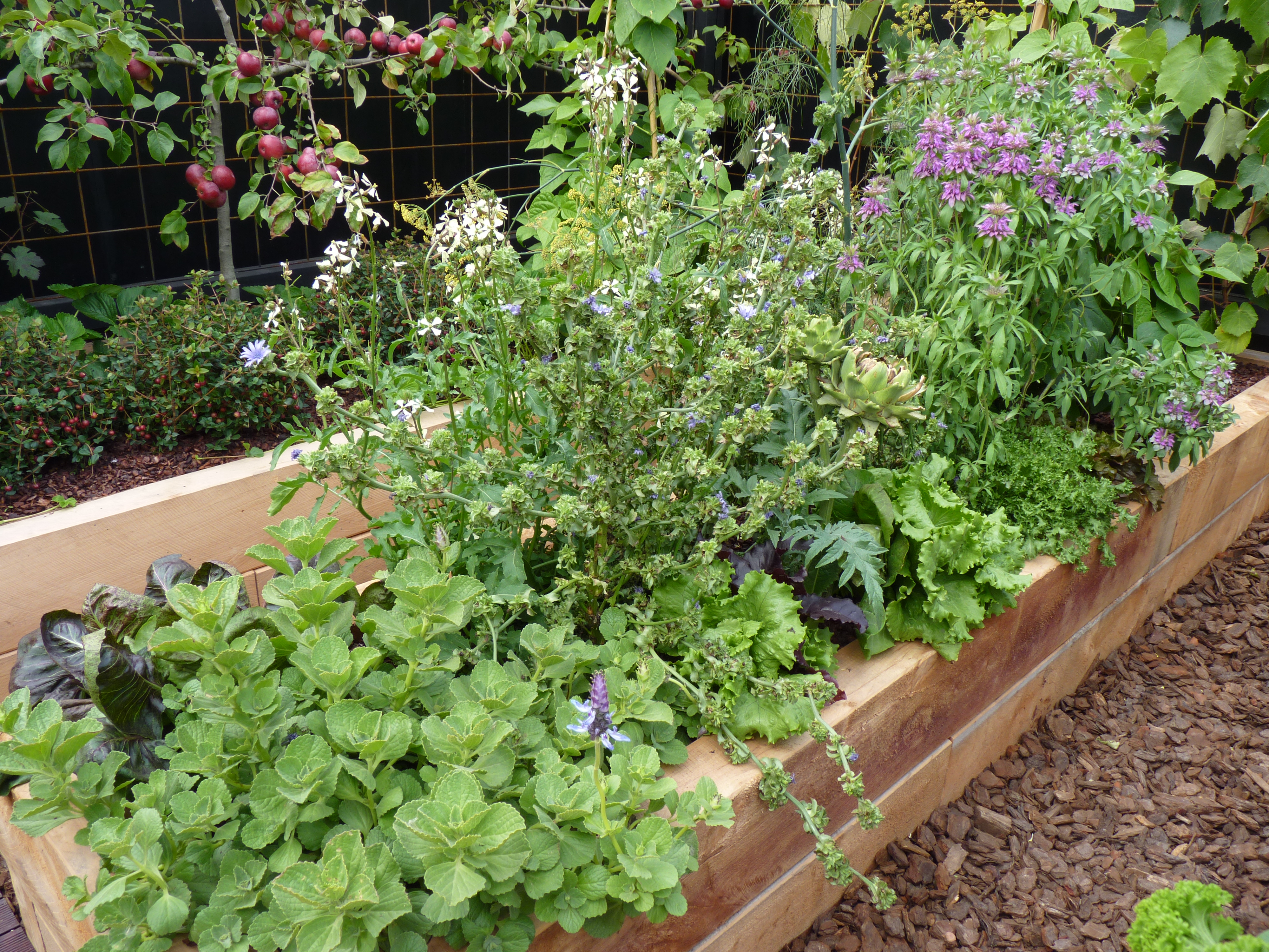 Award winning sustainable vegetable garden | HEDGE