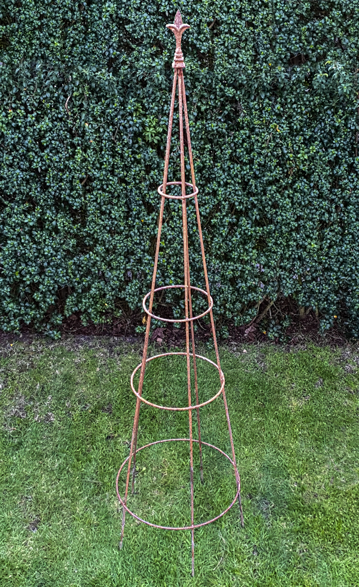 Plant support rusted steel