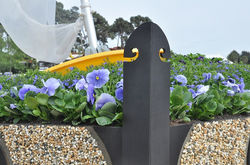 Prow of our flower bed yacht